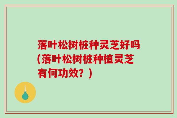 落叶松树桩种灵芝好吗(落叶松树桩种植灵芝有何功效?) 落叶松树桩种灵芝好吗(落叶松树桩种植灵芝有何功效?)