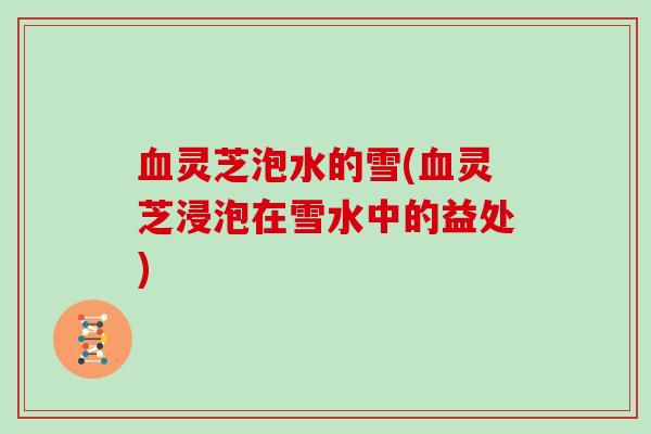 灵芝泡水的雪(灵芝浸泡在雪水中的益处) 灵芝泡水的雪(灵芝浸泡在雪水中的益处)