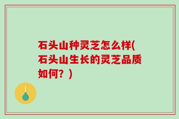 石头山种灵芝怎么样(石头山生长的灵芝品质如何?) 石头山种灵芝怎么样(石头山生长的灵芝品质如何?)