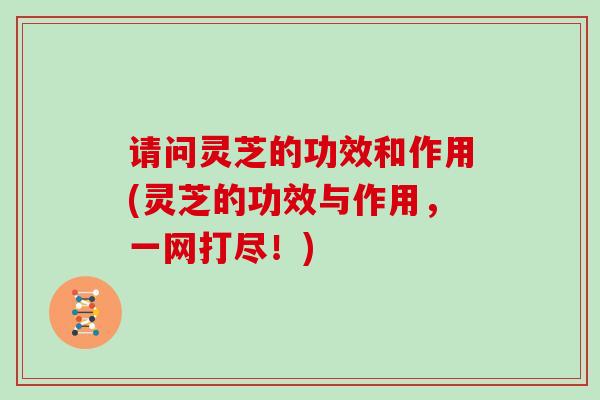 请问灵芝的功效和作用(灵芝的功效与作用,一网打尽!) 请问灵芝的功效和作用(灵芝的功效与作用,一网打尽!)