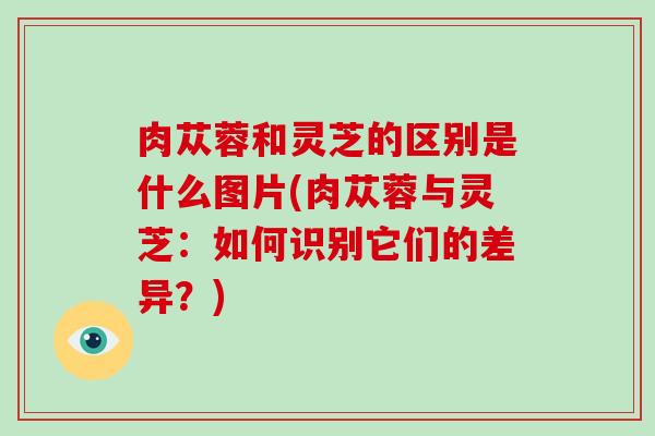 肉苁蓉和灵芝的区别是什么图片(肉苁蓉与灵芝:如何识别它们的差异?) 肉苁蓉和灵芝的区别是什么图片(肉苁蓉与灵芝:如何识别它们的差异?)