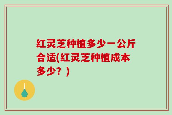 红灵芝种植多少一公斤合适(红灵芝种植成本多少?) 红灵芝种植多少一公斤合适(红灵芝种植成本多少?)