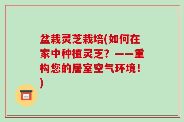 盆栽灵芝栽培(如何在家中种植灵芝?——重构您的居室空气环境!) 盆栽灵芝栽培(如何在家中种植灵芝?——重构您的居室空气环境!)