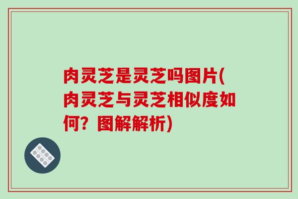 肉灵芝是灵芝吗图片(肉灵芝与灵芝相似度如何?图解解析) 肉灵芝是灵芝吗图片(肉灵芝与灵芝相似度如何?图解解析)
