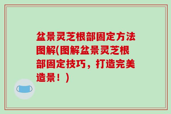 盆景灵芝根部固定方法图解(图解盆景灵芝根部固定技巧,打造完美造景!) 盆景灵芝根部固定方法图解(图解盆景灵芝根部固定技巧,打造完美造景!)