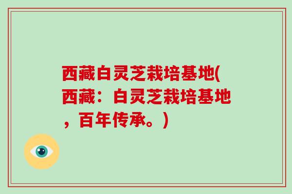 西藏白灵芝栽培基地(西藏:白灵芝栽培基地,百年传承。) 西藏白灵芝栽培基地(西藏:白灵芝栽培基地,百年传承。)