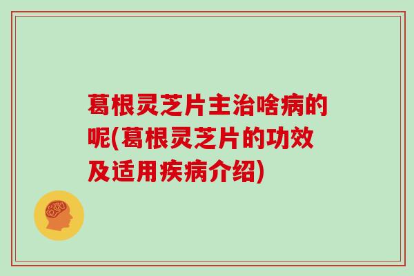 葛根灵芝片主啥的呢(葛根灵芝片的功效及适用介绍)