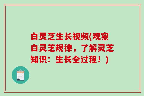 白灵芝生长视频(观察白灵芝规律,了解灵芝知识:生长全过程!) 白灵芝生长视频(观察白灵芝规律,了解灵芝知识:生长全过程!)
