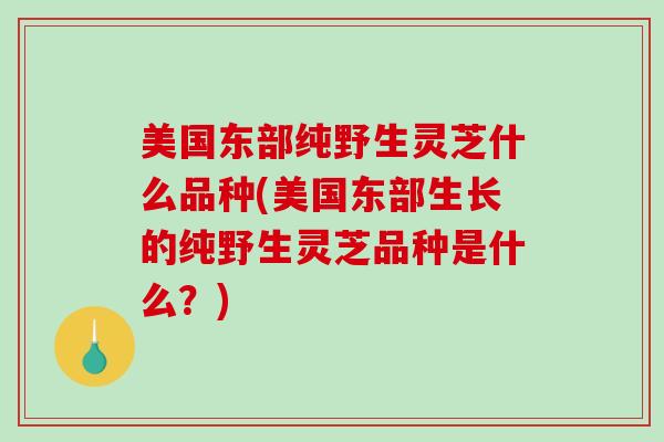 美国东部纯野生灵芝什么品种(美国东部生长的纯野生灵芝品种是什么?) 美国东部纯野生灵芝什么品种(美国东部生长的纯野生灵芝品种是什么?)