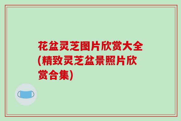 花盆灵芝图片欣赏大全(精致灵芝盆景照片欣赏合集)