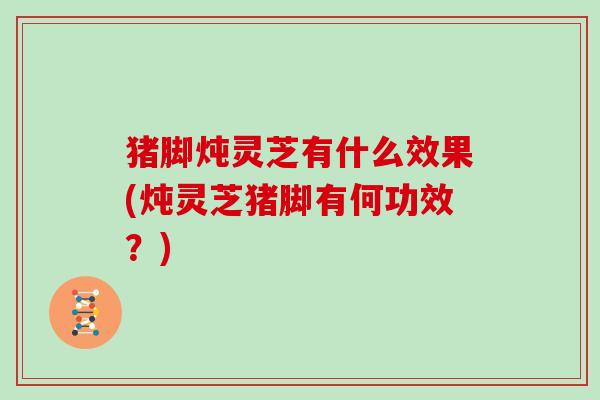 猪脚炖灵芝有什么效果(炖灵芝猪脚有何功效?) 猪脚炖灵芝有什么效果(炖灵芝猪脚有何功效?)