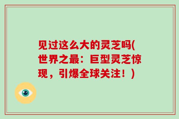 见过这么大的灵芝吗(世界之:巨型灵芝惊现,引爆全球关注!) 见过这么大的灵芝吗(世界之:巨型灵芝惊现,引爆全球关注!)