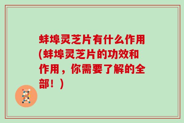 蚌埠灵芝片有什么作用(蚌埠灵芝片的功效和作用,你需要了解的全部!) 蚌埠灵芝片有什么作用(蚌埠灵芝片的功效和作用,你需要了解的全部!)