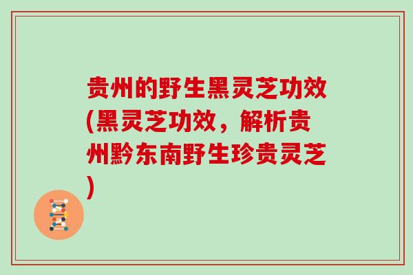 贵州的野生黑灵芝功效(黑灵芝功效,解析贵州黔东南野生珍贵灵芝) 贵州的野生黑灵芝功效(黑灵芝功效,解析贵州黔东南野生珍贵灵芝)