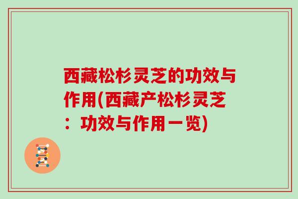 西藏松杉灵芝的功效与作用(西藏产松杉灵芝:功效与作用一览) 西藏松杉灵芝的功效与作用(西藏产松杉灵芝:功效与作用一览)
