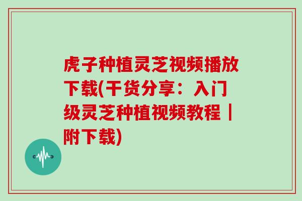 虎子种植灵芝视频播放下载(干货分享:入门级灵芝种植视频教程|附下载) 虎子种植灵芝视频播放下载(干货分享:入门级灵芝种植视频教程|附下载)