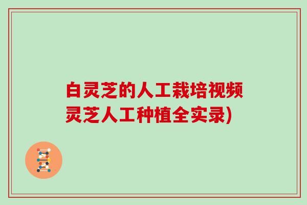 白灵芝的人工栽培视频灵芝人工种植全实录) 白灵芝的人工栽培视频灵芝人工种植全实录)