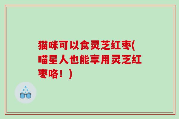 猫咪可以食灵芝红枣(喵星人也能享用灵芝红枣咯!) 猫咪可以食灵芝红枣(喵星人也能享用灵芝红枣咯!)