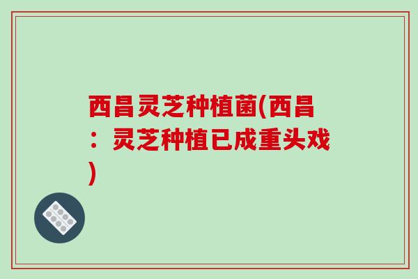 西昌灵芝种植菌(西昌:灵芝种植已成重头戏) 西昌灵芝种植菌(西昌:灵芝种植已成重头戏)
