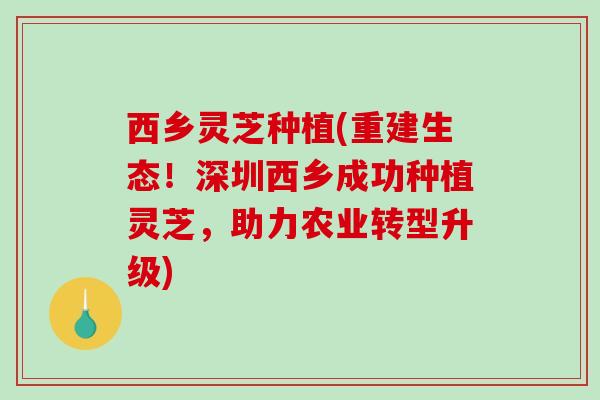 西乡灵芝种植(重建生态!深圳西乡成功种植灵芝,助力农业转型升级) 西乡灵芝种植(重建生态!深圳西乡成功种植灵芝,助力农业转型升级)