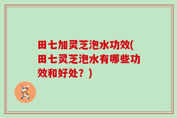 田七加灵芝泡水功效(田七灵芝泡水有哪些功效和好处?) 田七加灵芝泡水功效(田七灵芝泡水有哪些功效和好处?)