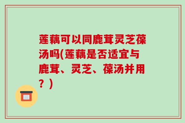 莲藕可以同鹿茸灵芝葆汤吗(莲藕是否适宜与鹿茸、灵芝、葆汤并用?) 莲藕可以同鹿茸灵芝葆汤吗(莲藕是否适宜与鹿茸、灵芝、葆汤并用?)