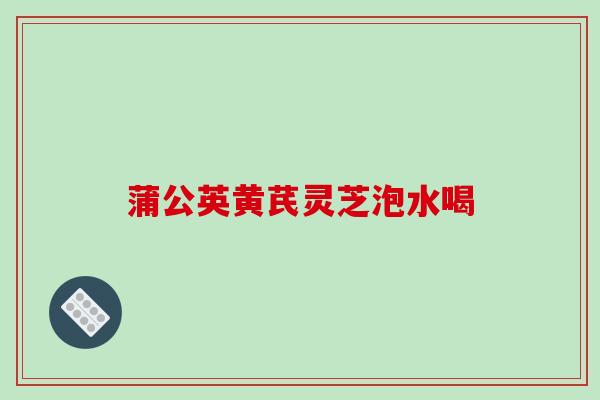 蒲公英黄芪灵芝泡水喝 蒲公英黄芪灵芝泡水喝