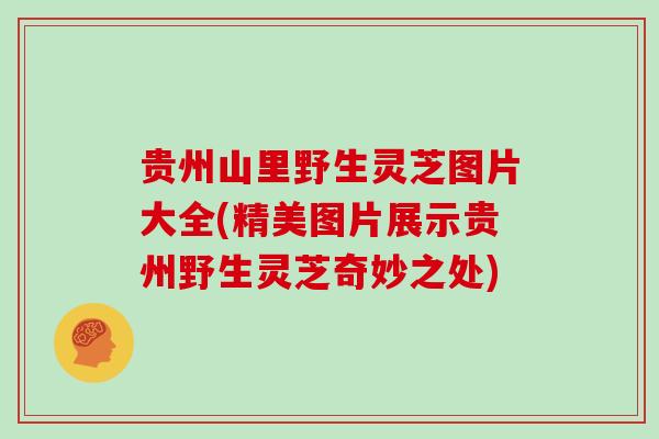 贵州山里野生灵芝图片大全(精美图片展示贵州野生灵芝奇妙之处) 贵州山里野生灵芝图片大全(精美图片展示贵州野生灵芝奇妙之处)