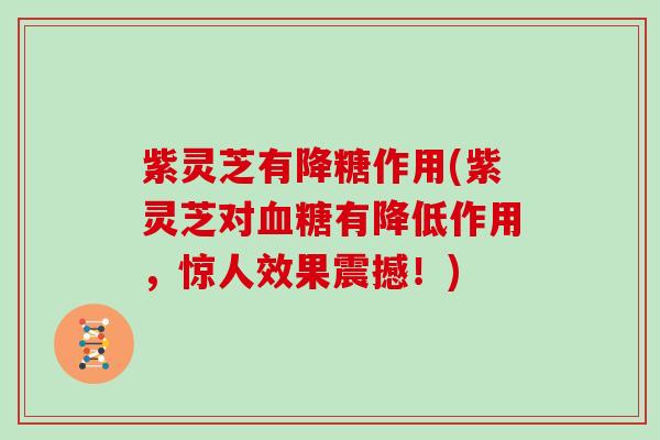 紫灵芝有降糖作用(紫灵芝对有降低作用，惊人效果震撼！)