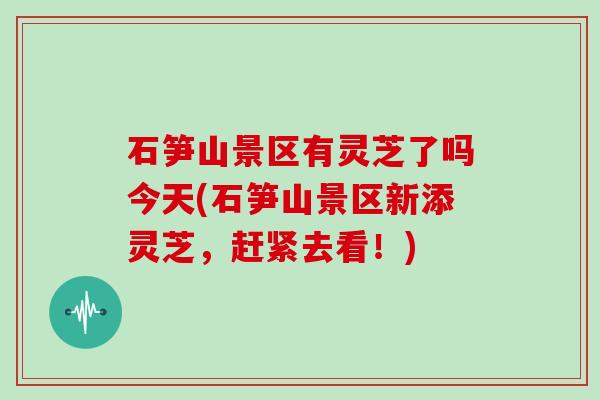 石笋山景区有灵芝了吗今天(石笋山景区新添灵芝,赶紧去看!) 石笋山景区有灵芝了吗今天(石笋山景区新添灵芝,赶紧去看!)