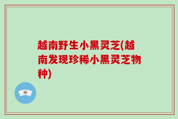 越南野生小黑灵芝(越南发现珍稀小黑灵芝物种)