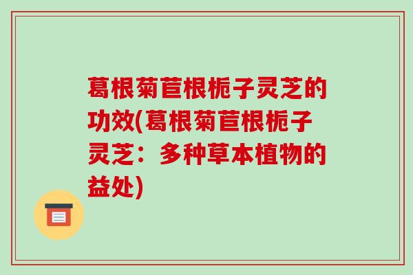 葛根菊苣根栀子灵芝的功效(葛根菊苣根栀子灵芝:多种草本植物的益处) 葛根菊苣根栀子灵芝的功效(葛根菊苣根栀子灵芝:多种草本植物的益处)