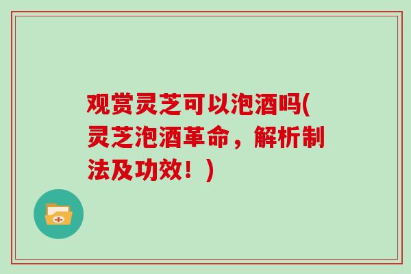 观赏灵芝可以泡酒吗(灵芝泡酒革命,解析制法及功效!) 观赏灵芝可以泡酒吗(灵芝泡酒革命,解析制法及功效!)