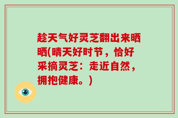 趁天气好灵芝翻出来晒晒(晴天好时节,恰好采摘灵芝:走近自然,拥抱健康。) 趁天气好灵芝翻出来晒晒(晴天好时节,恰好采摘灵芝:走近自然,拥抱健康。)