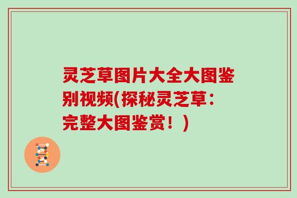 灵芝草图片大全大图鉴别视频(探秘灵芝草:完整大图鉴赏!) 灵芝草图片大全大图鉴别视频(探秘灵芝草:完整大图鉴赏!)