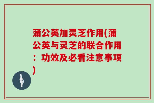 蒲公英加灵芝作用(蒲公英与灵芝的联合作用：功效及必看注意事项)