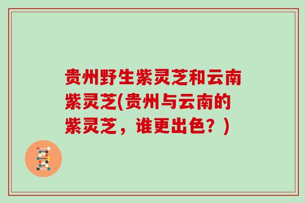 贵州野生紫灵芝和云南紫灵芝(贵州与云南的紫灵芝，谁更出色？)