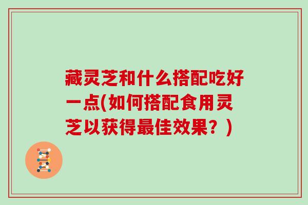 藏灵芝和什么搭配吃好一点(如何搭配食用灵芝以获得佳效果?) 藏灵芝和什么搭配吃好一点(如何搭配食用灵芝以获得佳效果?)