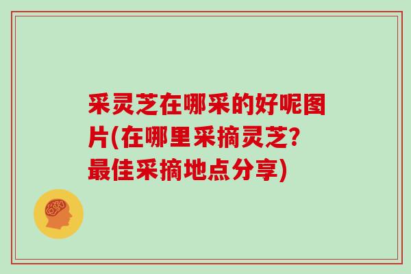 采灵芝在哪采的好呢图片(在哪里采摘灵芝?佳采摘地点分享) 采灵芝在哪采的好呢图片(在哪里采摘灵芝?佳采摘地点分享)