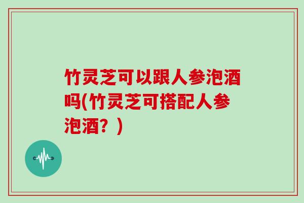 竹灵芝可以跟人参泡酒吗(竹灵芝可搭配人参泡酒?) 竹灵芝可以跟人参泡酒吗(竹灵芝可搭配人参泡酒?)