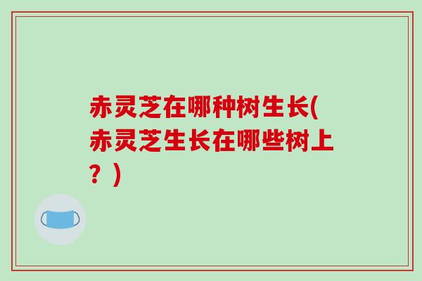 赤灵芝在哪种树生长(赤灵芝生长在哪些树上？)