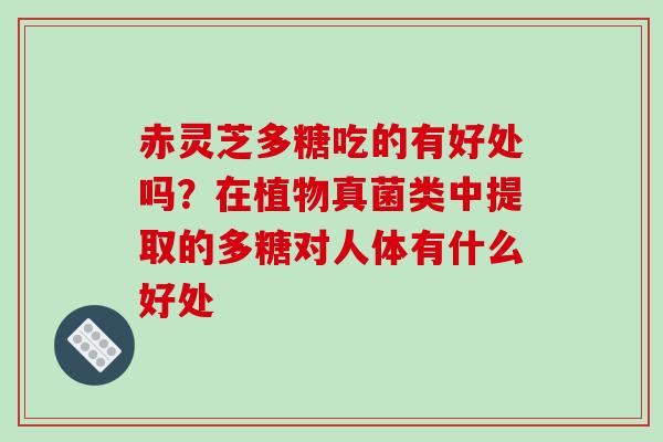 赤灵芝多糖吃的有好处吗？在植物真菌类中提取的多糖对人体有什么好处