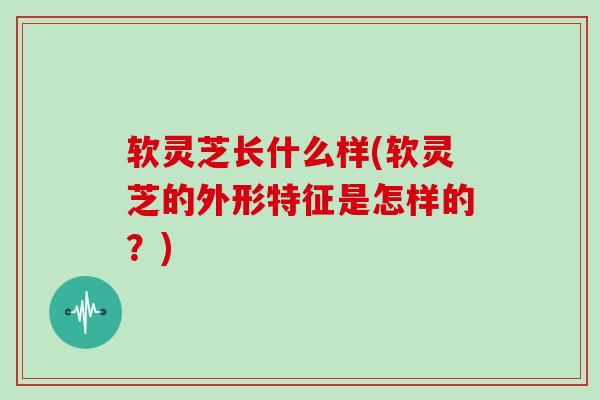 软灵芝长什么样(软灵芝的外形特征是怎样的?) 软灵芝长什么样(软灵芝的外形特征是怎样的?)