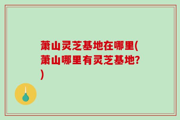 萧山灵芝基地在哪里(萧山哪里有灵芝基地？)