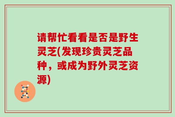 请帮忙看看是否是野生灵芝(发现珍贵灵芝品种,或成为野外灵芝资源) 请帮忙看看是否是野生灵芝(发现珍贵灵芝品种,或成为野外灵芝资源)