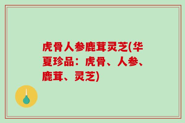 虎骨人参鹿茸灵芝(华夏珍品：虎骨、人参、鹿茸、灵芝)