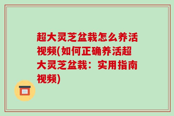 超大灵芝盆栽怎么养活视频(如何正确养活超大灵芝盆栽:实用指南视频) 超大灵芝盆栽怎么养活视频(如何正确养活超大灵芝盆栽:实用指南视频)