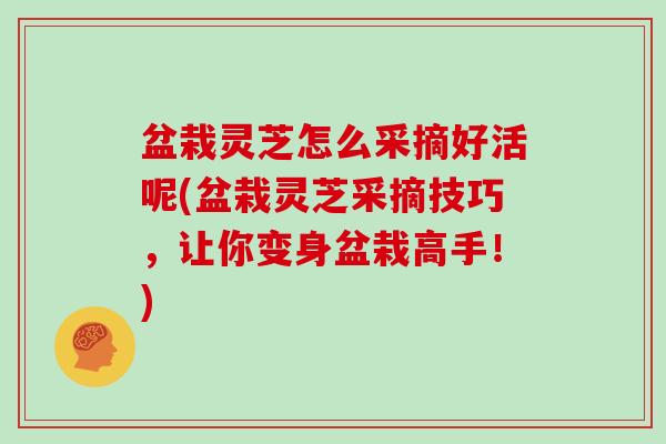 盆栽灵芝怎么采摘好活呢(盆栽灵芝采摘技巧，让你变身盆栽高手！)