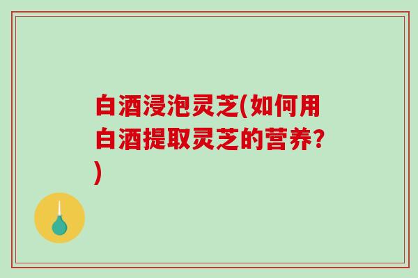 白酒浸泡灵芝(如何用白酒提取灵芝的营养？)