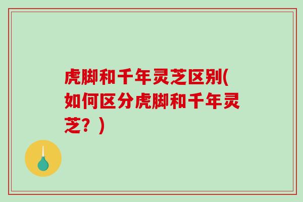 虎脚和千年灵芝区别(如何区分虎脚和千年灵芝?) 虎脚和千年灵芝区别(如何区分虎脚和千年灵芝?)